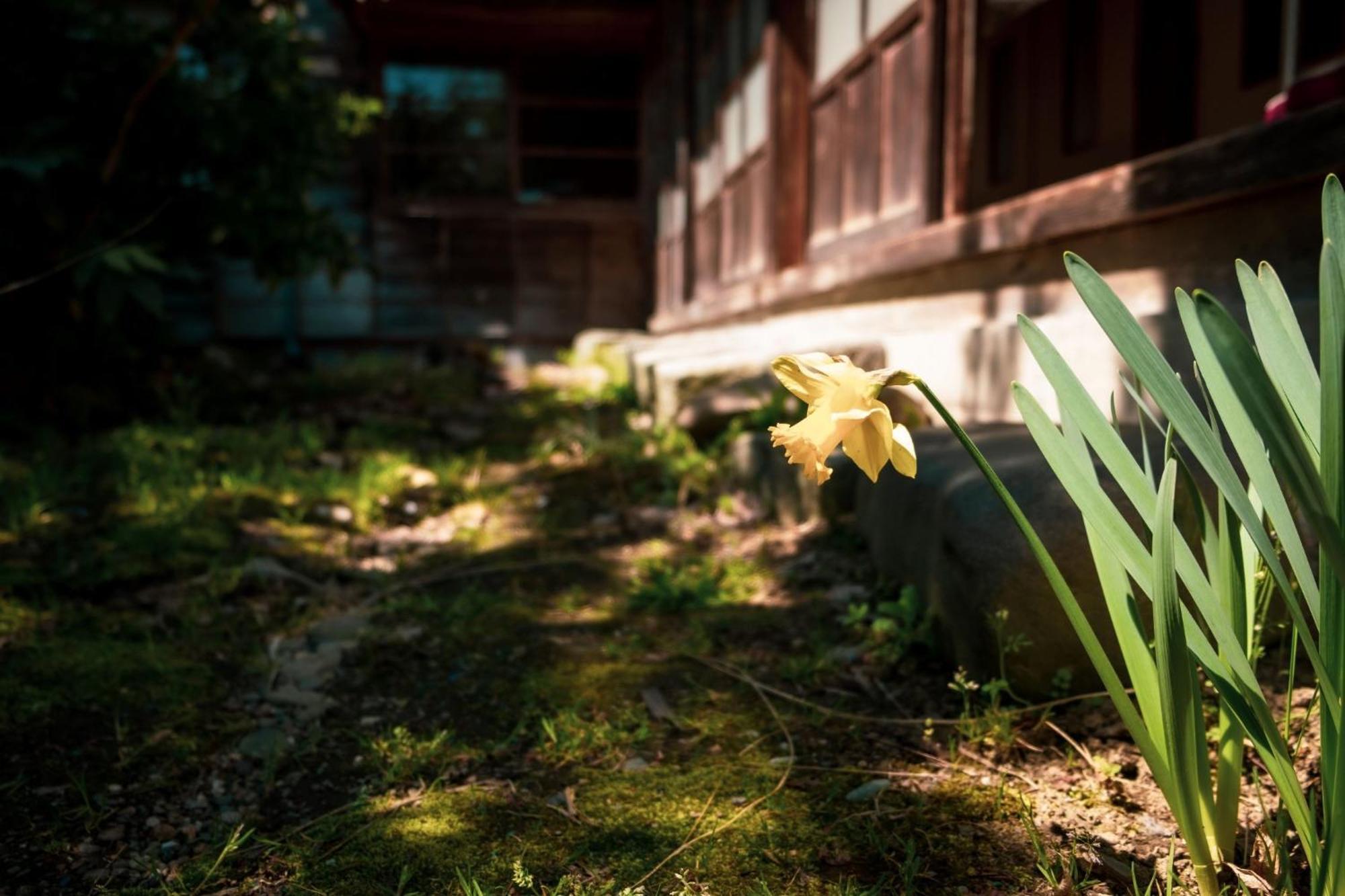 Yahaba Honno Ryokan / Vacation Stay 60049 מראה חיצוני תמונה
